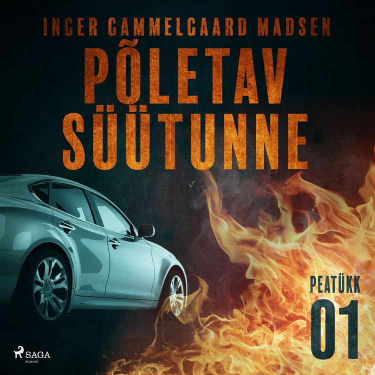 Produktbild: P&otilde;letav s&uuml;&uuml;tunne &ndash; 1. peat&uuml;kk