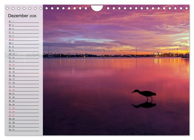 Produktbild: FLORIDA Idyllischer Sonnenscheinstaat (Wandkalender 2026 DIN A4 quer), CALVENDO Monatskalender