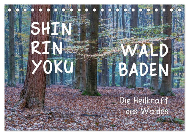 Produktbild: Shinrin yoku - Waldbaden 2026 (Tischkalender 2026 DIN A5 quer), CALVENDO Monatskalender