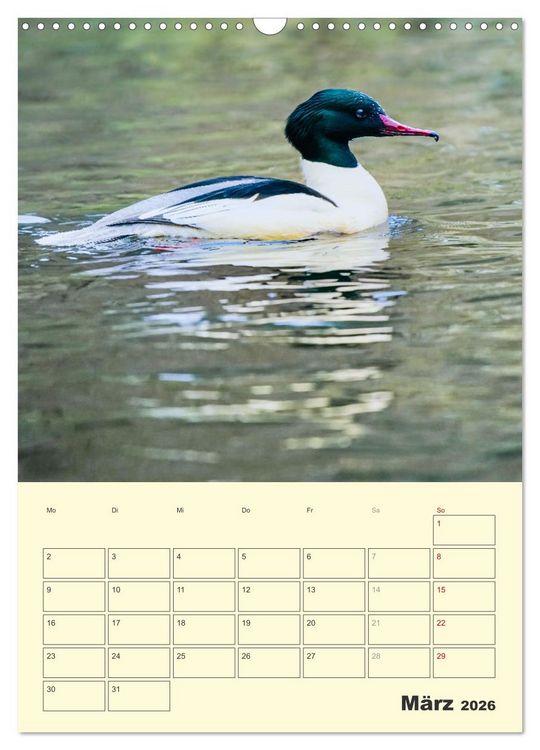 Produktbild: Vogelwelt an der Sieg (Wandkalender 2026 DIN A3 hoch), CALVENDO Monatskalender