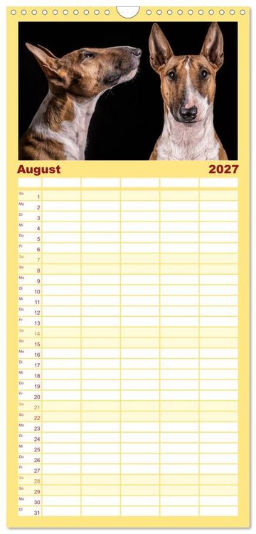 Produktbild: Familienplaner 2027 - Bullterrier mit 5 Spalten (Wandkalender, 21 x 45 cm) CALVENDO