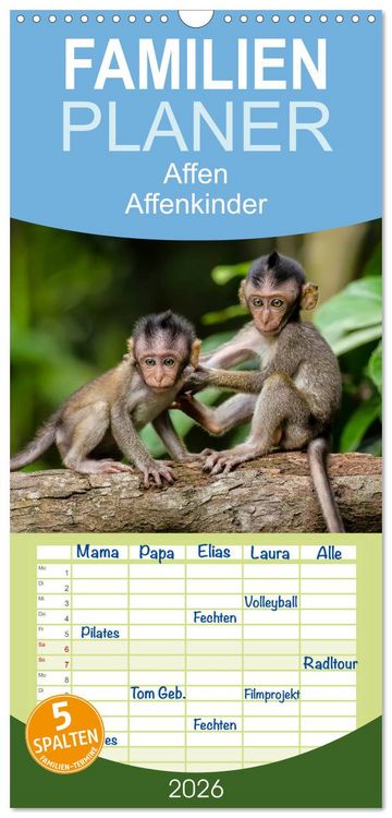 Produktbild: Familienplaner 2026 - Affen - Affenkinder mit 5 Spalten (Wandkalender, 21 x 45 cm) CALVENDO