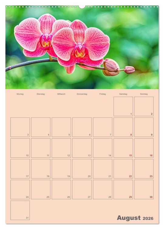 Produktbild: Nachtfalterorchideen in High Dynamic (hochwertiger Premium Wandkalender 2026 DIN A2 hoch), Kunstdruck in Hochglanz