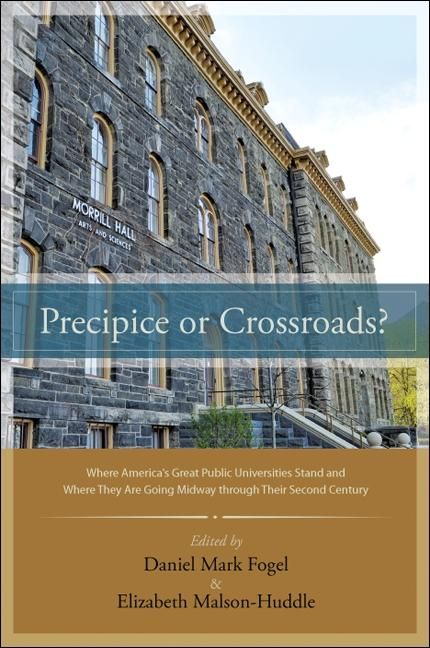 Produktbild: Precipice or Crossroads?