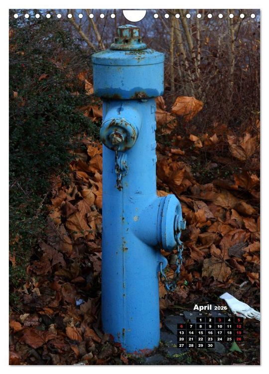Produktbild: Nostalgie Hydranten (Wandkalender 2026 DIN A4 hoch), CALVENDO Monatskalender