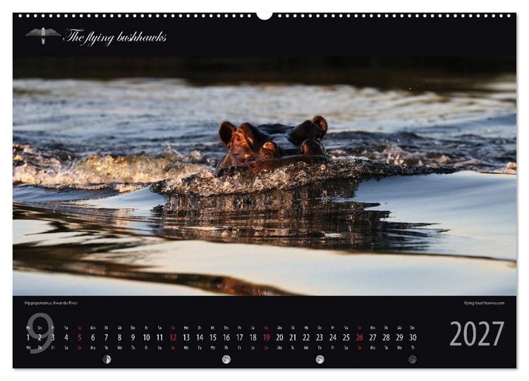 Produktbild: Botswana Blickwinkel 2027 (hochwertiger Premium Wandkalender 2027 DIN A2 quer), Kunstdruck in Hochglanz