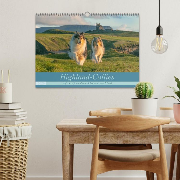 Produktbild: Highland-Collies - Auf vier Pfoten durch Schottland und Irland (Wandkalender 2026 DIN A3 quer), CALVENDO Monatskalender