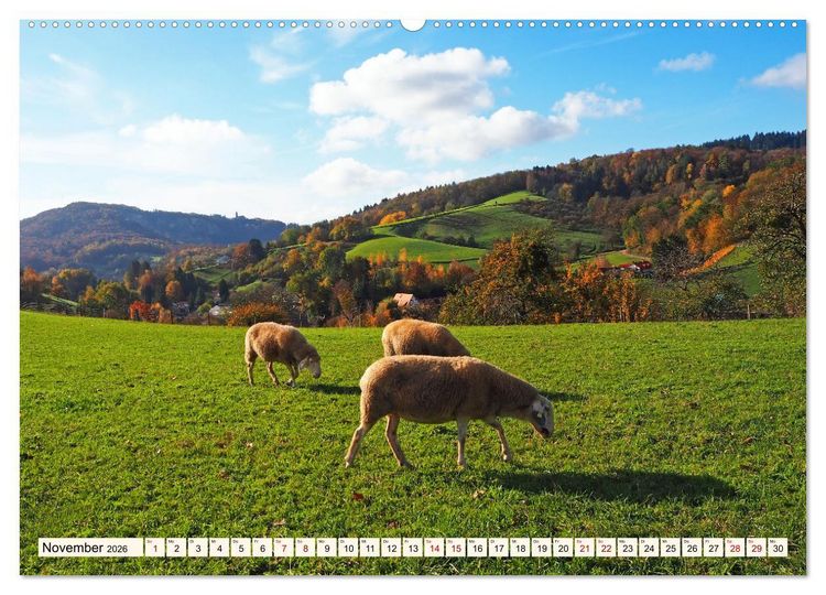 Produktbild: Vom Ried an die Bergstra&szlig;e, durch den Odenwald ins Neckartal (hochwertiger Premium Wandkalender 2026 DIN A2 quer), Kunstdruck in Hochglanz