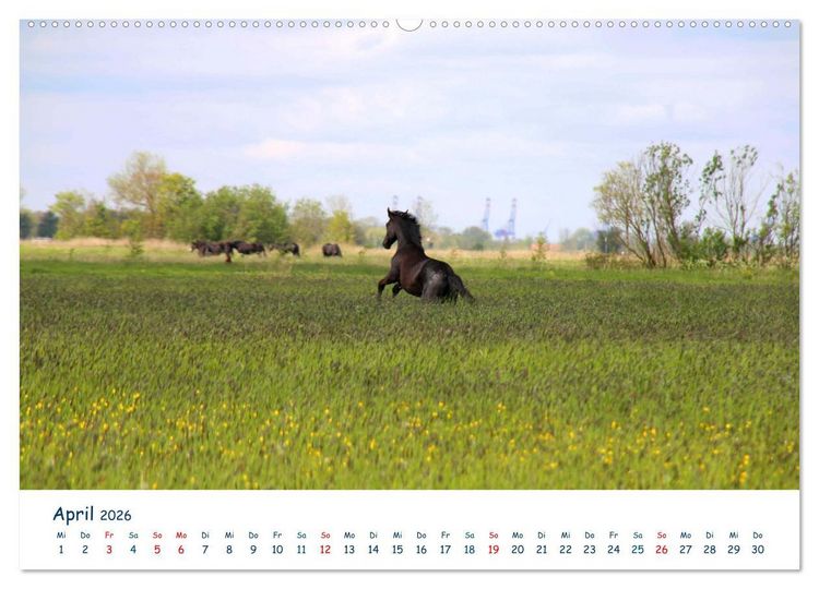 Produktbild: Butjadingen. Impressionen zwischen Jade und Nordsee (Wandkalender 2026 DIN A2 quer), CALVENDO Monatskalender