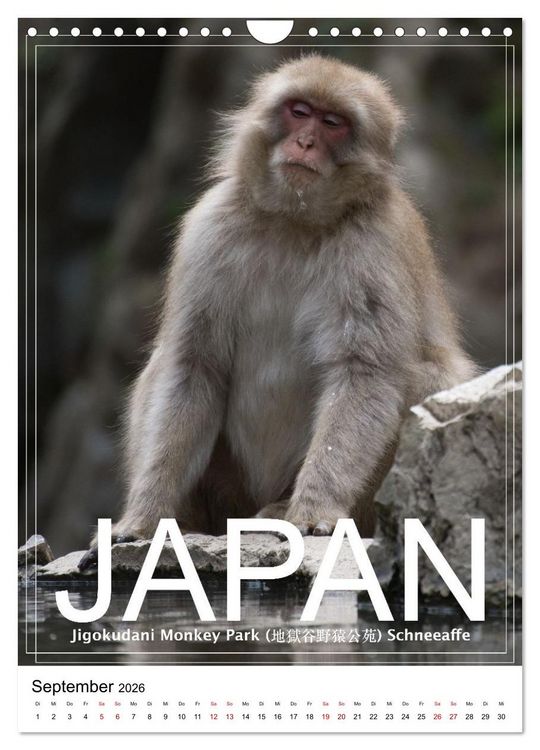 Produktbild: Japan PosterArt 2024 (Wandkalender 2026 DIN A4 hoch), CALVENDO Monatskalender