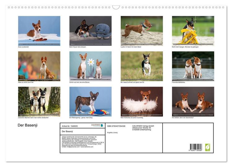 Produktbild: Der Basenji (Wandkalender 2026 DIN A2 quer), CALVENDO Monatskalender