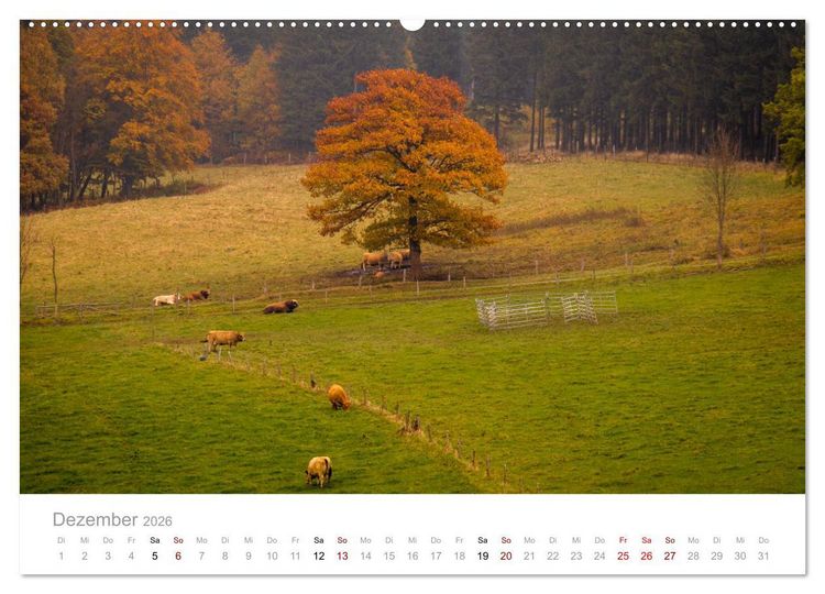 Produktbild: Wundersch&ouml;ne B&auml;ume im Sauerland (Wandkalender 2026 DIN A2 quer), CALVENDO Monatskalender