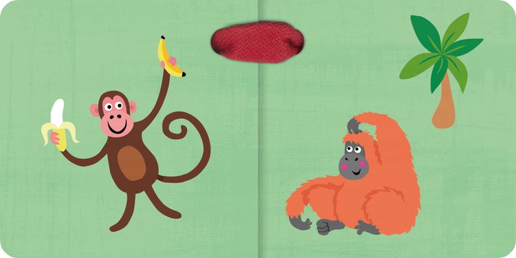 Produktbild: Kleine bunte Welt - Dschungel & Safari