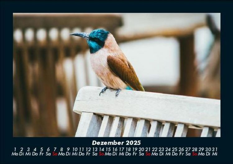 Produktbild: Tierkalender 2025 Fotokalender DIN A5