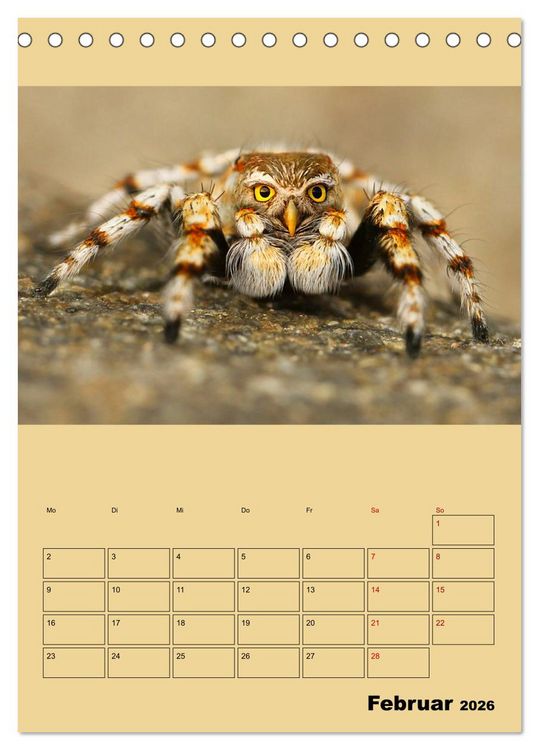 Produktbild: Seltsame Tiere - da stimmt doch was nicht... (Tischkalender 2026 DIN A5 hoch), CALVENDO Monatskalender