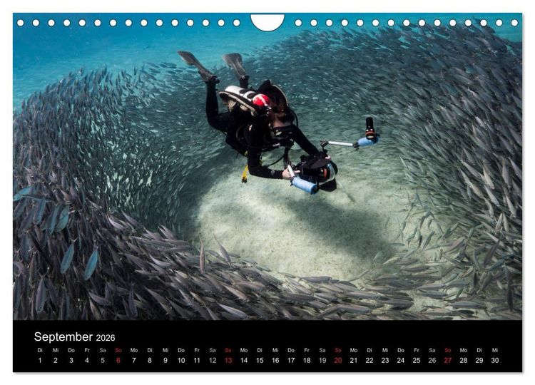 Produktbild: Tanz der Fische (Wandkalender 2026 DIN A4 quer), CALVENDO Monatskalender