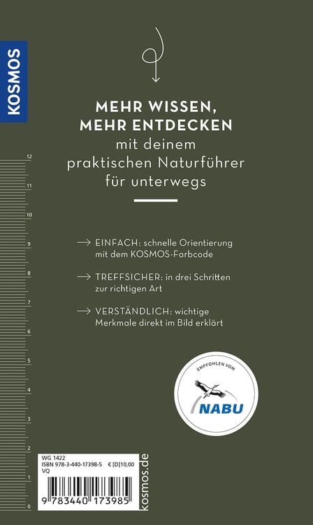 Produktbild: Basic Schmetterlinge
