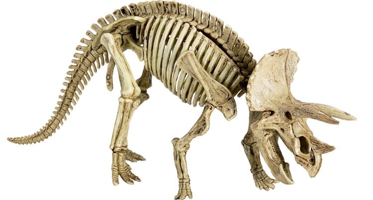 Produktbild: Ausgrabungsset Triceratops - T-Rex World