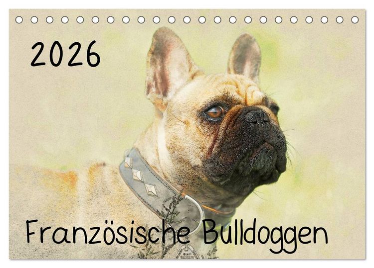 Produktbild: Franz&ouml;sische Bulldoggen 2026 (Tischkalender 2026 DIN A5 quer), CALVENDO Monatskalender
