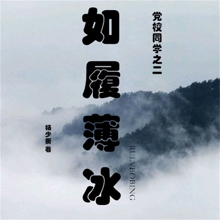 Produktbild: 如履薄冰