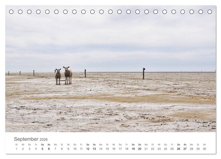 Produktbild: Nordfriesland (Tischkalender 2026 DIN A5 quer), CALVENDO Monatskalender