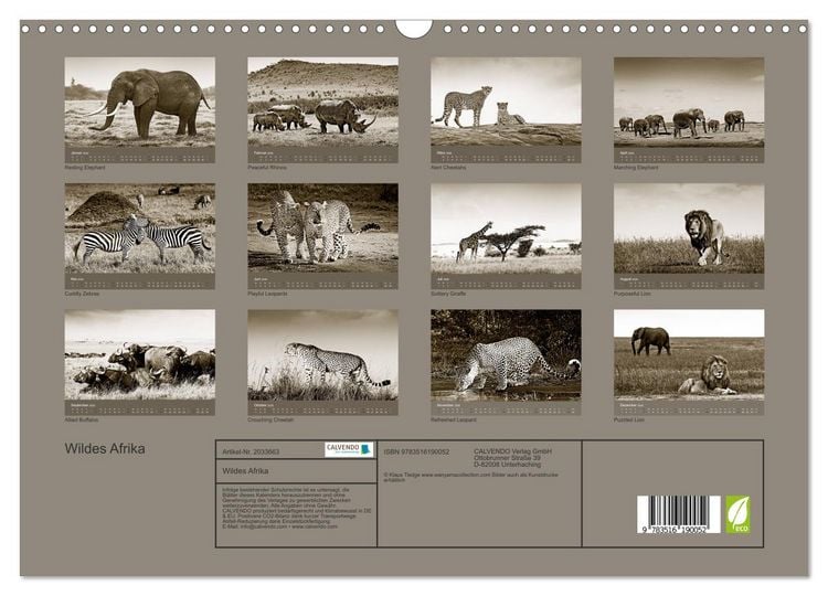 Produktbild: Wildes Afrika (Wandkalender 2026 DIN A3 quer), CALVENDO Monatskalender