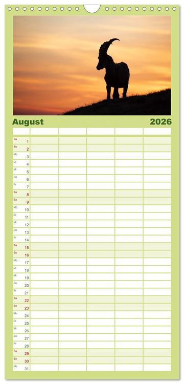 Produktbild: Familienplaner 2026 - Steinbock - K&ouml;nig der Alpen mit 5 Spalten (Wandkalender, 21 x 45 cm) CALVENDO