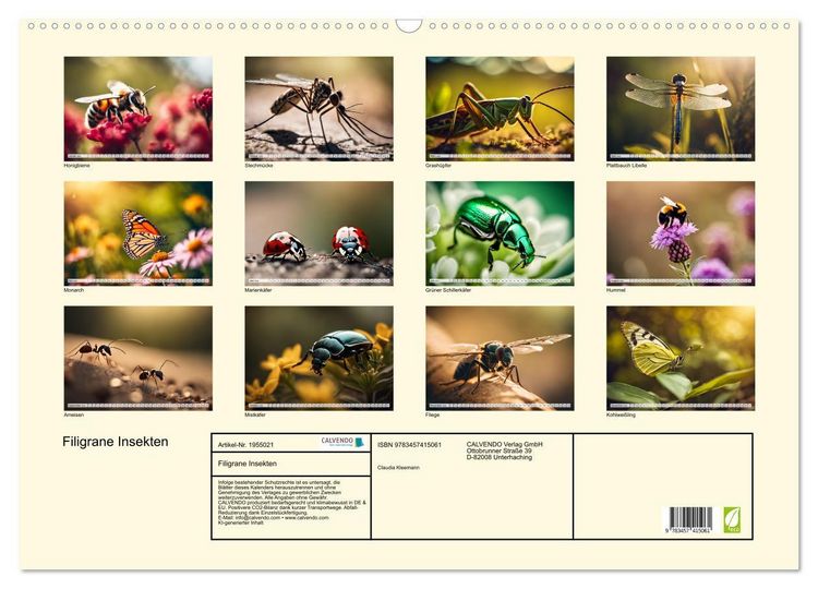 Produktbild: Filigrane Insekten (Wandkalender 2026 DIN A2 quer), CALVENDO Monatskalender