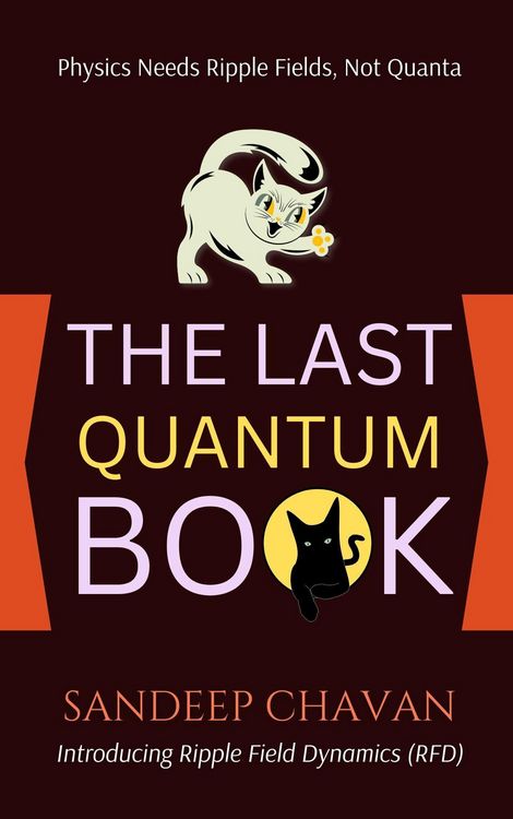Produktbild: The Last Quantum Book