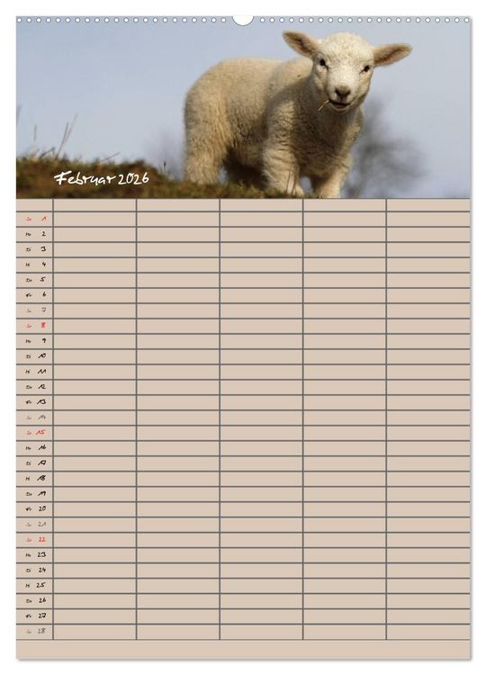 Produktbild: Der bel&auml;mmerte Familienplaner (Wandkalender 2026 DIN A2 hoch), CALVENDO Monatskalender