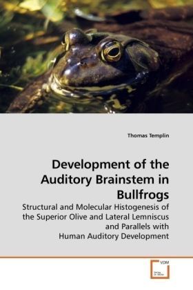 Produktbild: Templin, T: Development of the Auditory Brainstem in Bullfro