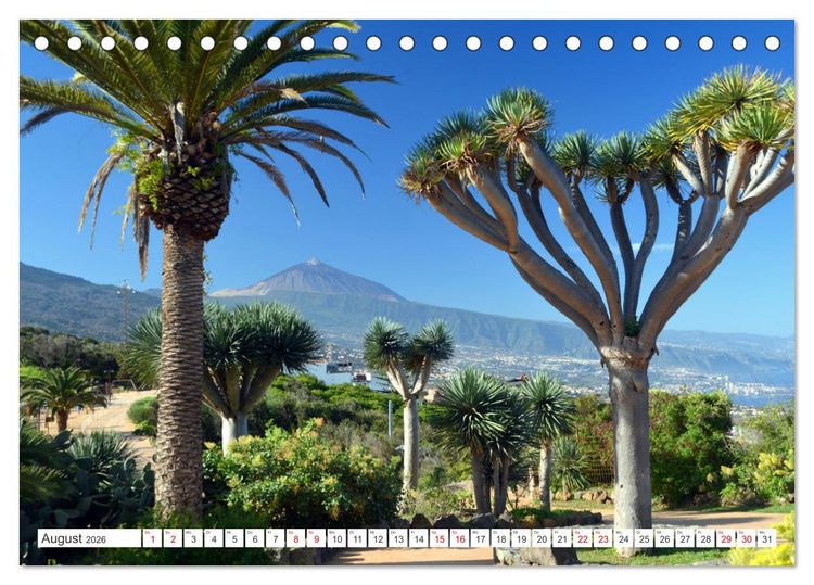Produktbild: Teneriffa - Insel der Gl&uuml;ckseligen (Tischkalender 2026 DIN A5 quer), CALVENDO Monatskalender