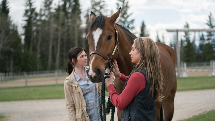 Produktbild: Heartland - Paradies f&uuml;r Pferde, Staffel 11 (Neuauflage) [6 DVDs]