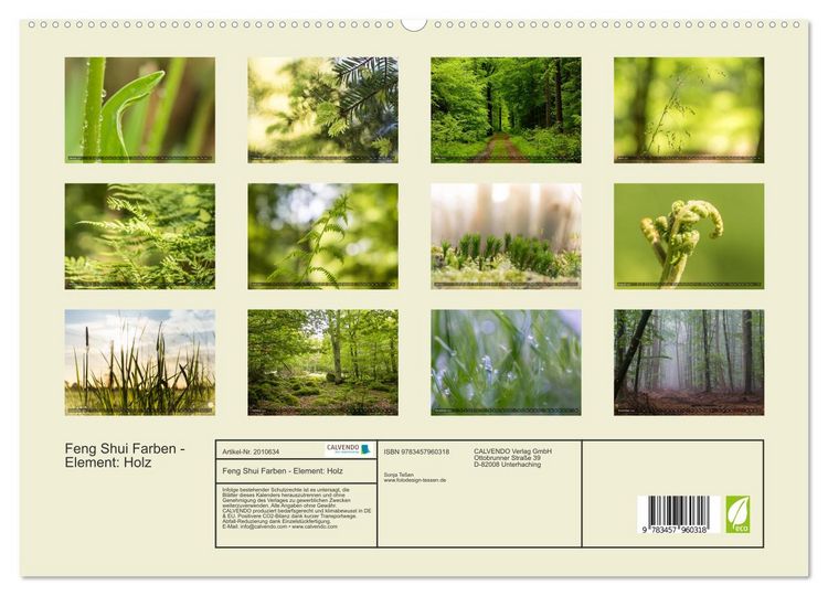 Produktbild: Feng Shui Farben - Element: Holz (hochwertiger Premium Wandkalender 2026 DIN A2 quer), Kunstdruck in Hochglanz