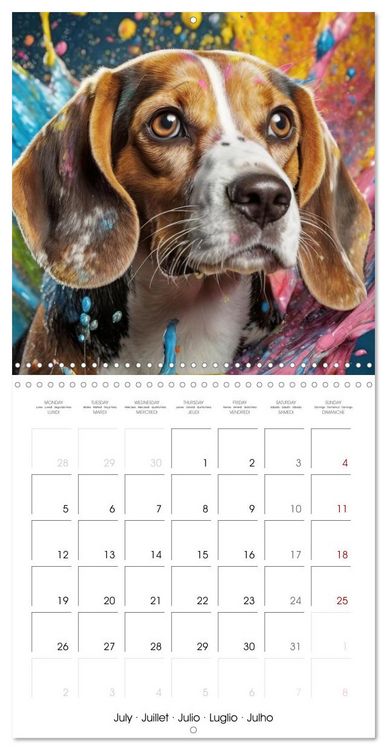Produktbild: Colourful Splash Dogs (Wall Calendar 2027 12 &times; 12 Inch) CALVENDO 12 Month Wall Calendar