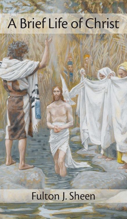 Produktbild: Brief Life of Christ