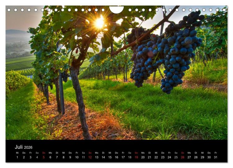 Produktbild: Weinberge im Remstal (Wandkalender 2026 DIN A4 quer), CALVENDO Monatskalender