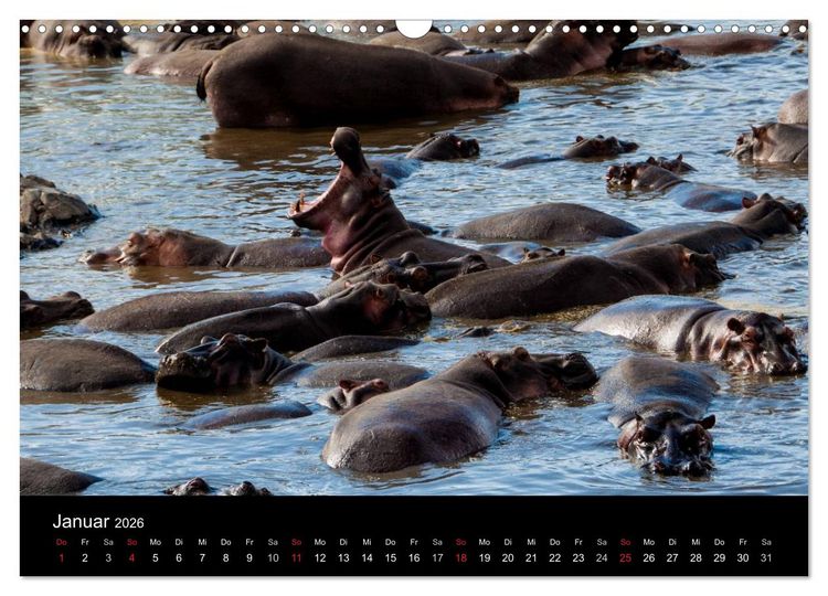 Produktbild: Wildes Afrika (Wandkalender 2026 DIN A3 quer), CALVENDO Monatskalender