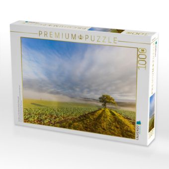 Produktbild: CALVENDO Puzzle Ein Motiv aus dem Kalender Bunter Pf&auml;lzerwald | 1000 Teile Lege-Gr&ouml;&szlig;e 64x48cm Foto-Puzzle f&uuml;r gl&uuml;ckliche Stunden