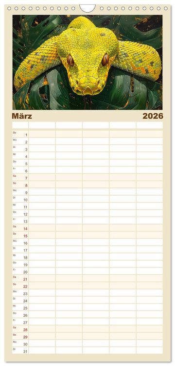 Produktbild: Familienplaner 2026 - Schlangen. Faszination Reptilien. Kunstvolle Paintings mit 5 Spalten (Wandkalender, 21 x 45 cm) CALVENDO