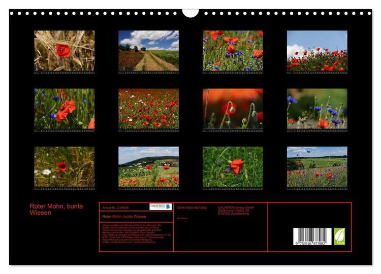 Produktbild: Roter Mohn, bunte Wiesen (Wandkalender 2026 DIN A3 quer), CALVENDO Monatskalender
