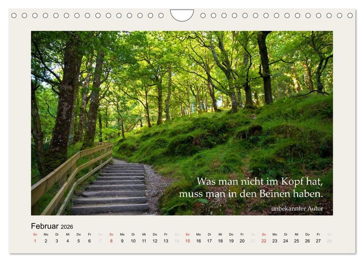 Produktbild: Hirnyoga (Wandkalender 2026 DIN A4 quer), CALVENDO Monatskalender