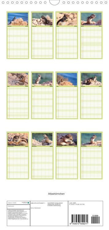 Produktbild: Atlash&ouml;rnchen - Familienplaner hoch (Wandkalender 2022 , 21 cm x 45 cm, hoch)