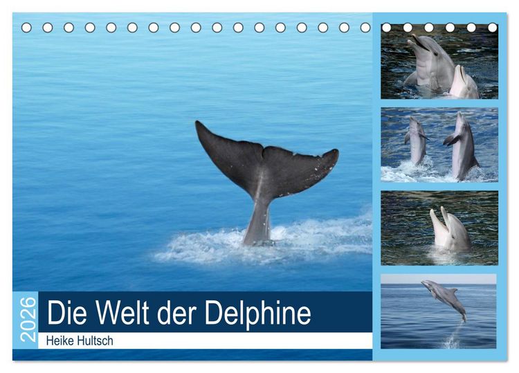 Produktbild: Die Welt der Delphine (Tischkalender 2026 DIN A5 quer), CALVENDO Monatskalender