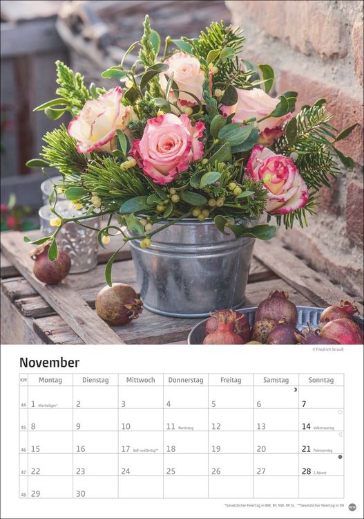 Produktbild: Rosenpracht Kalender 2027