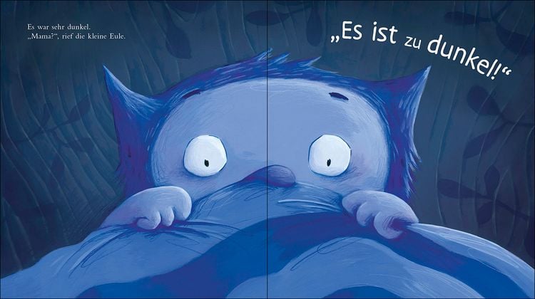 Produktbild: Die kleine Eule will noch nicht ins Bett