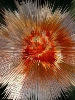 Produktbild: CALVENDO Puzzle Flower Explosion III PHOTO ART&deg; by Rosemarie Hofer | 1000 Teile Lege-Gr&ouml;&szlig;e 64x48cm Foto-Puzzle f&uuml;r gl&uuml;ckliche Stunden