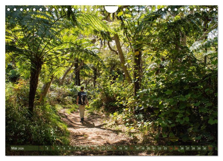 Produktbild: La R&eacute;union - Impressionen von Rolf Dietz (Wandkalender 2026 DIN A4 quer), CALVENDO Monatskalender