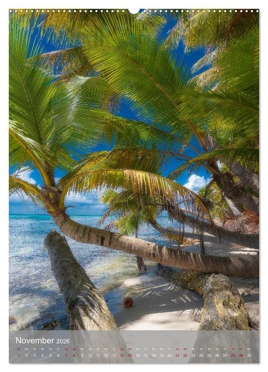 Produktbild: Karibischer Traum Isla Saona (hochwertiger Premium Wandkalender 2026 DIN A2 hoch), Kunstdruck in Hochglanz