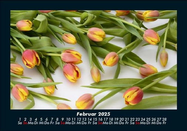 Produktbild: Blumenkalender 2025 Fotokalender DIN A5